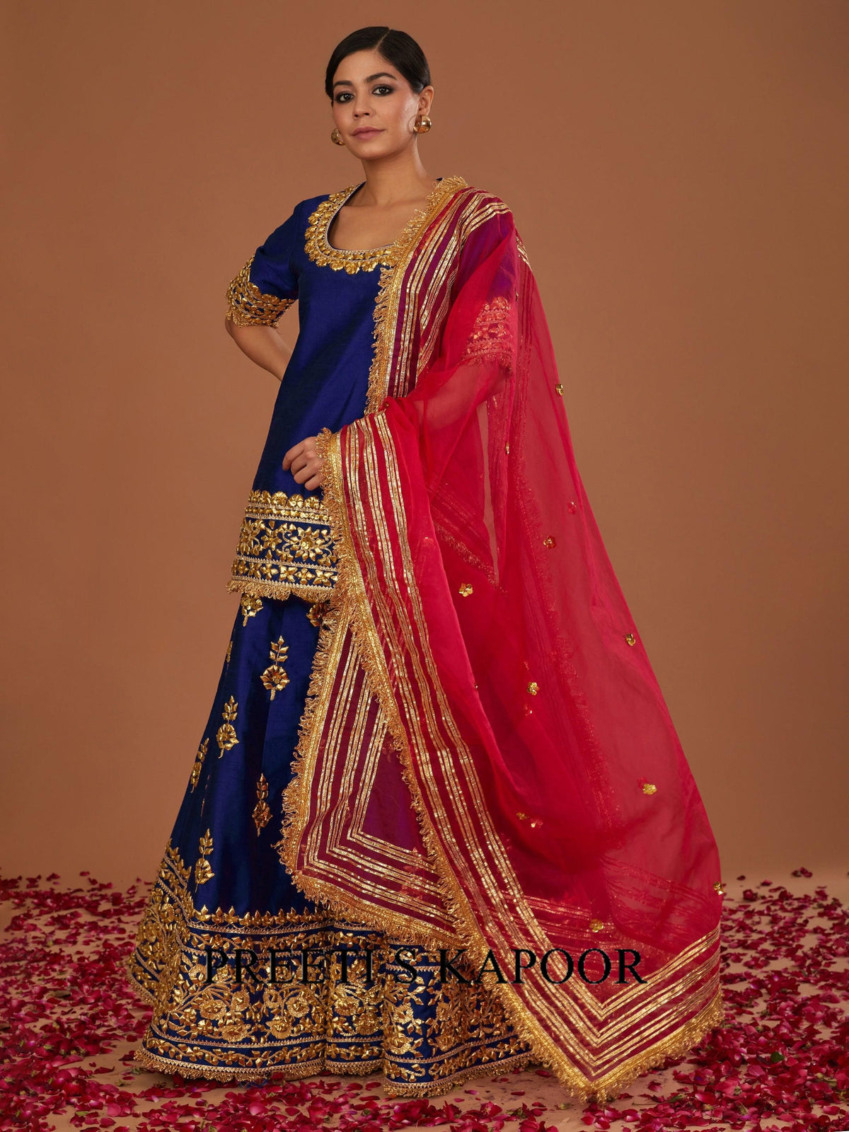 Woman wearing a blue and red saree with gold border on a brown background