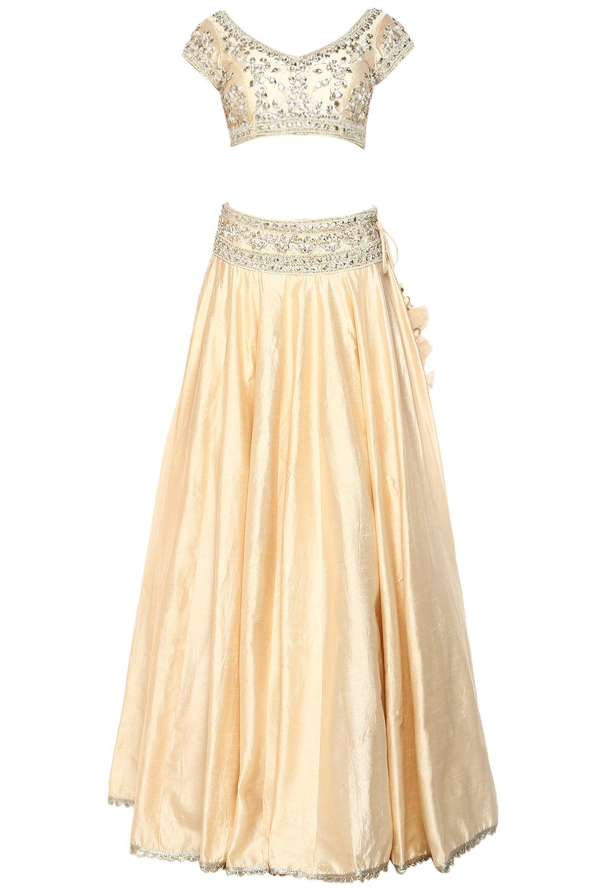 Beige Handcrafted Embroidered Lehenga Set - Preeti s kapoor