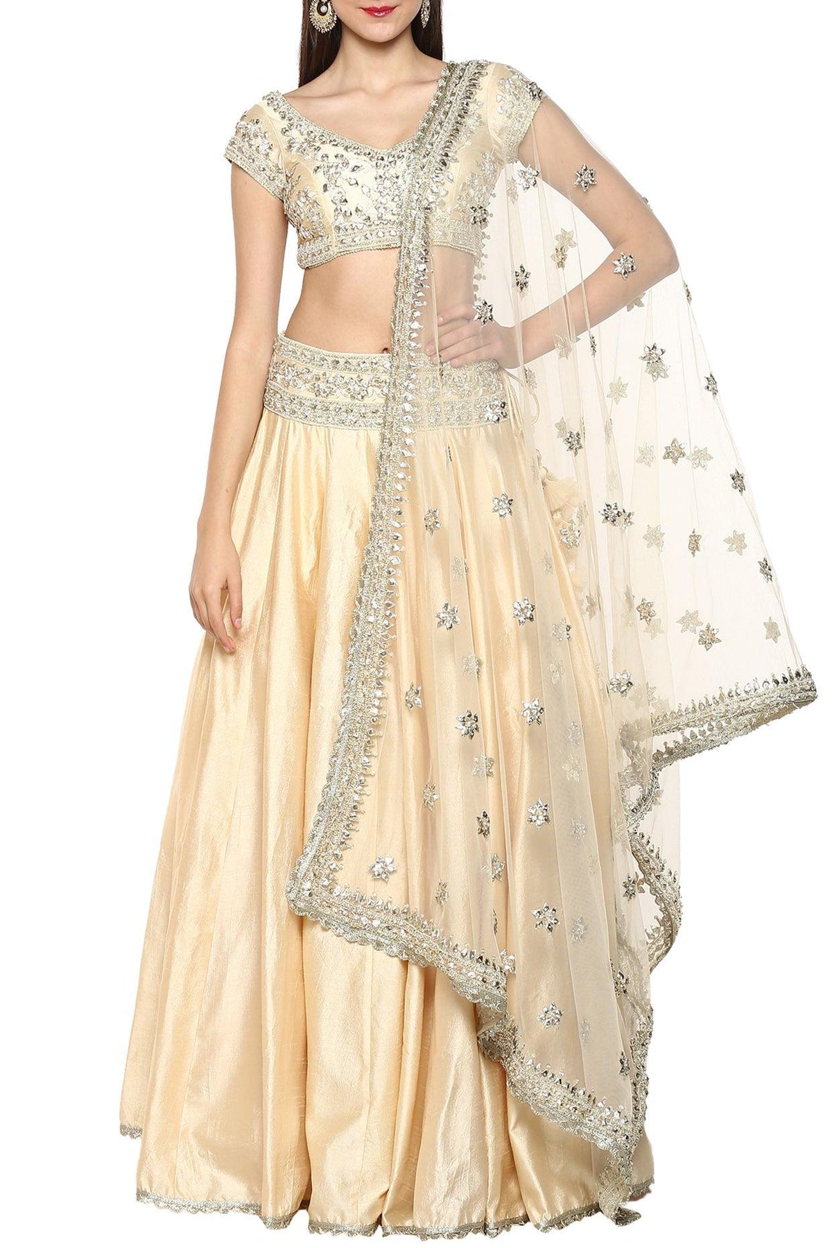 Beige Handcrafted Embroidered Lehenga Set - Preeti s kapoor