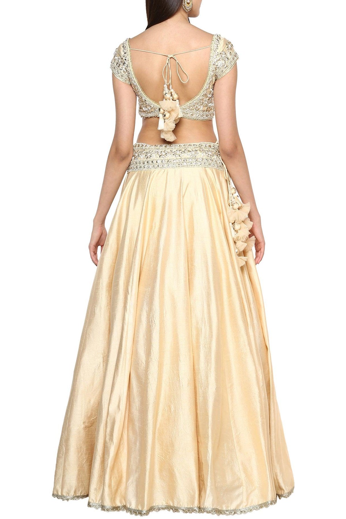 Beige Handcrafted Embroidered Lehenga Set - Preeti s kapoor