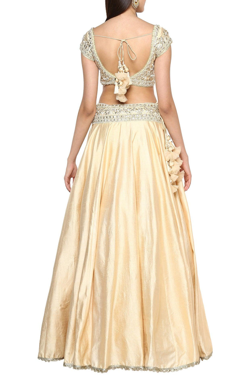 Beige Handcrafted Embroidered Lehenga Set - Preeti s kapoor