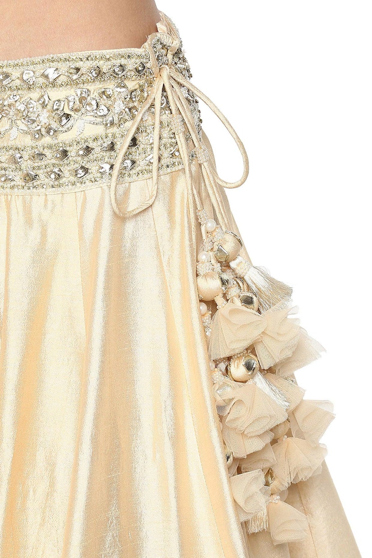 Beige Handcrafted Embroidered Lehenga Set - Preeti s kapoor