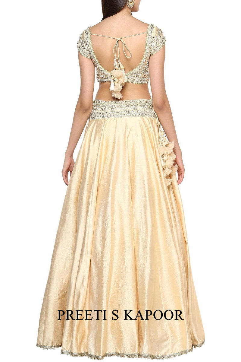 Beige Handcrafted Embroidered Lehenga Set - Preeti s kapoor
