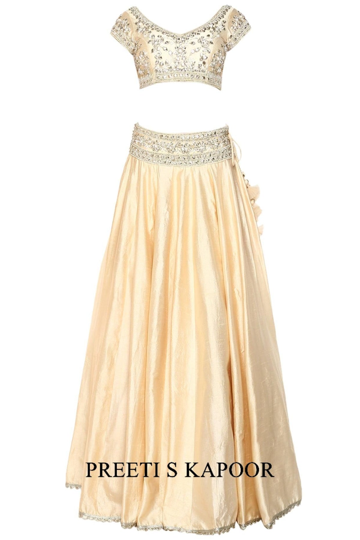 Beige Handcrafted Embroidered Lehenga Set - Preeti s kapoor