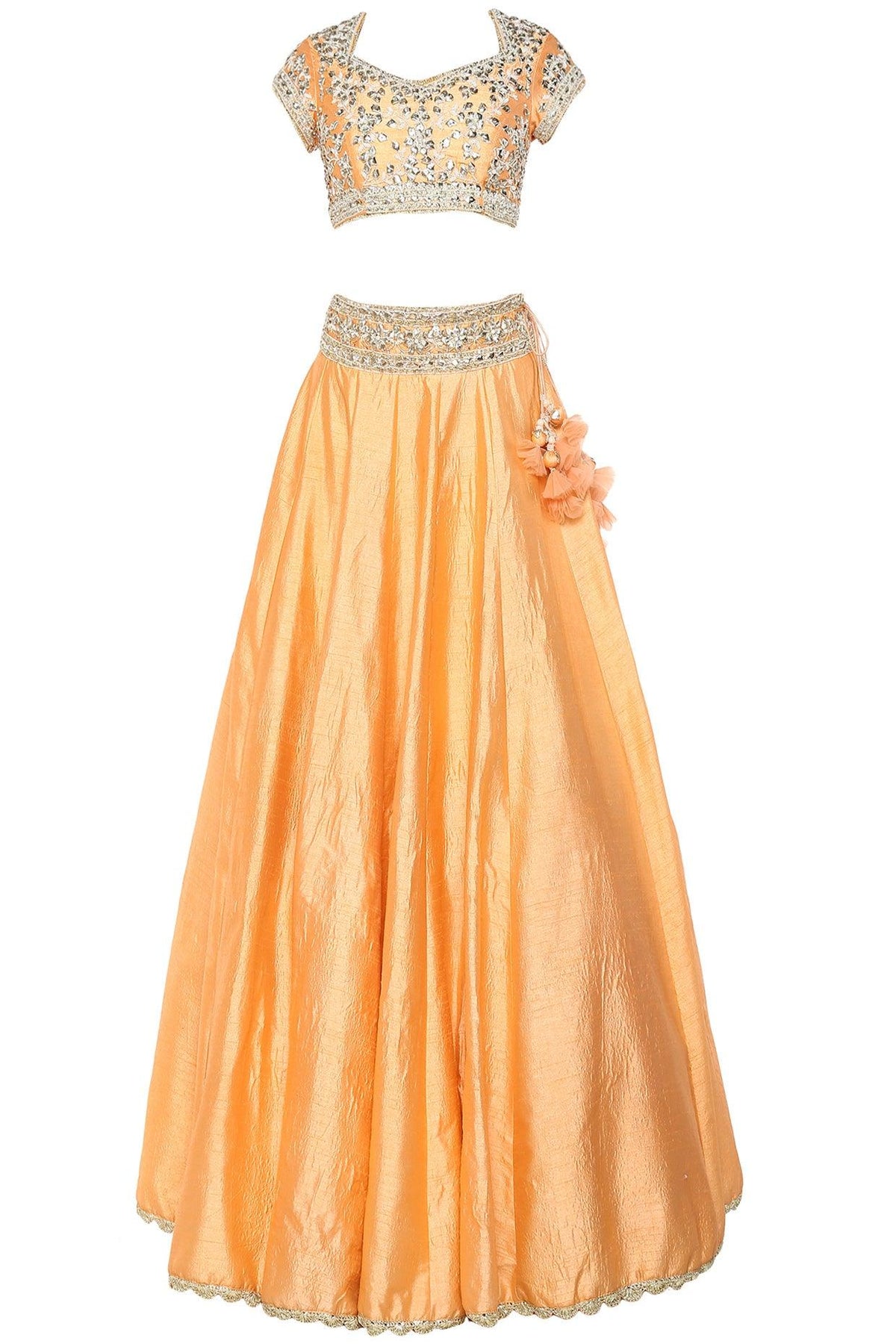 Peach Handcrafted Embroidered Lehenga Set - Preeti s kapoor