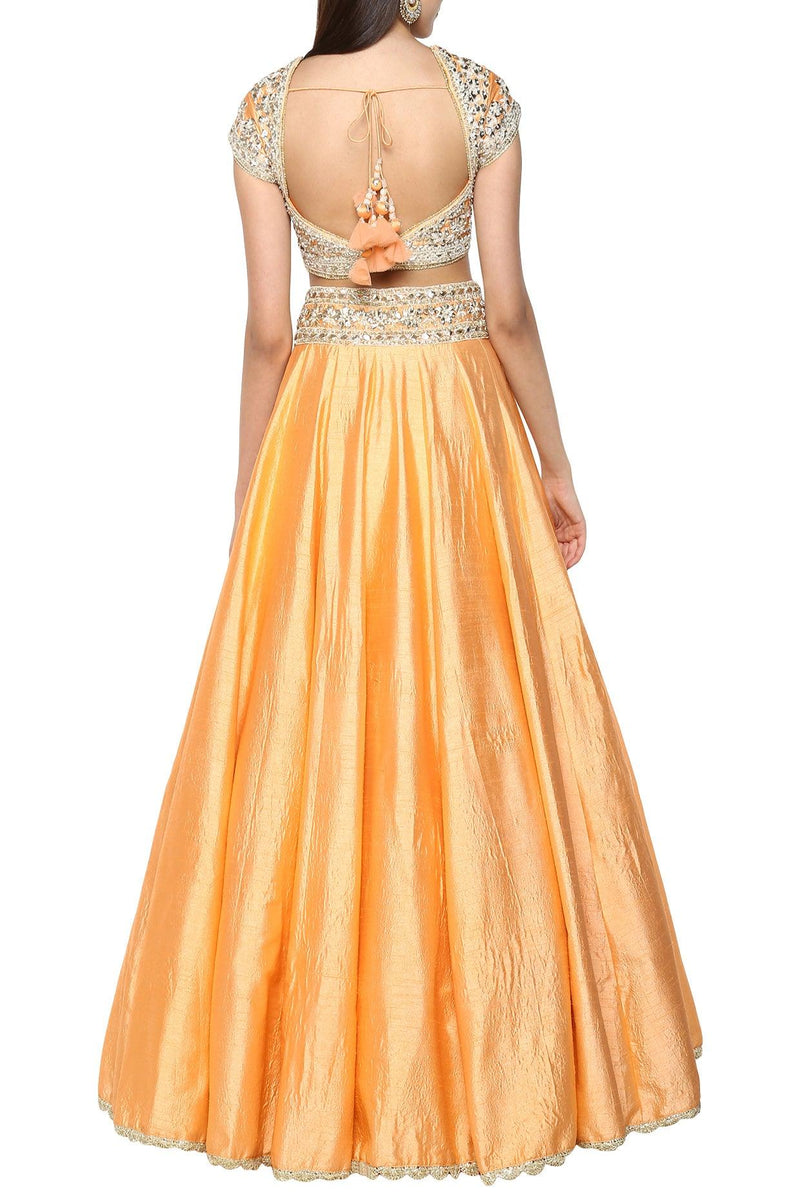 Peach Handcrafted Embroidered Lehenga Set - Preeti s kapoor