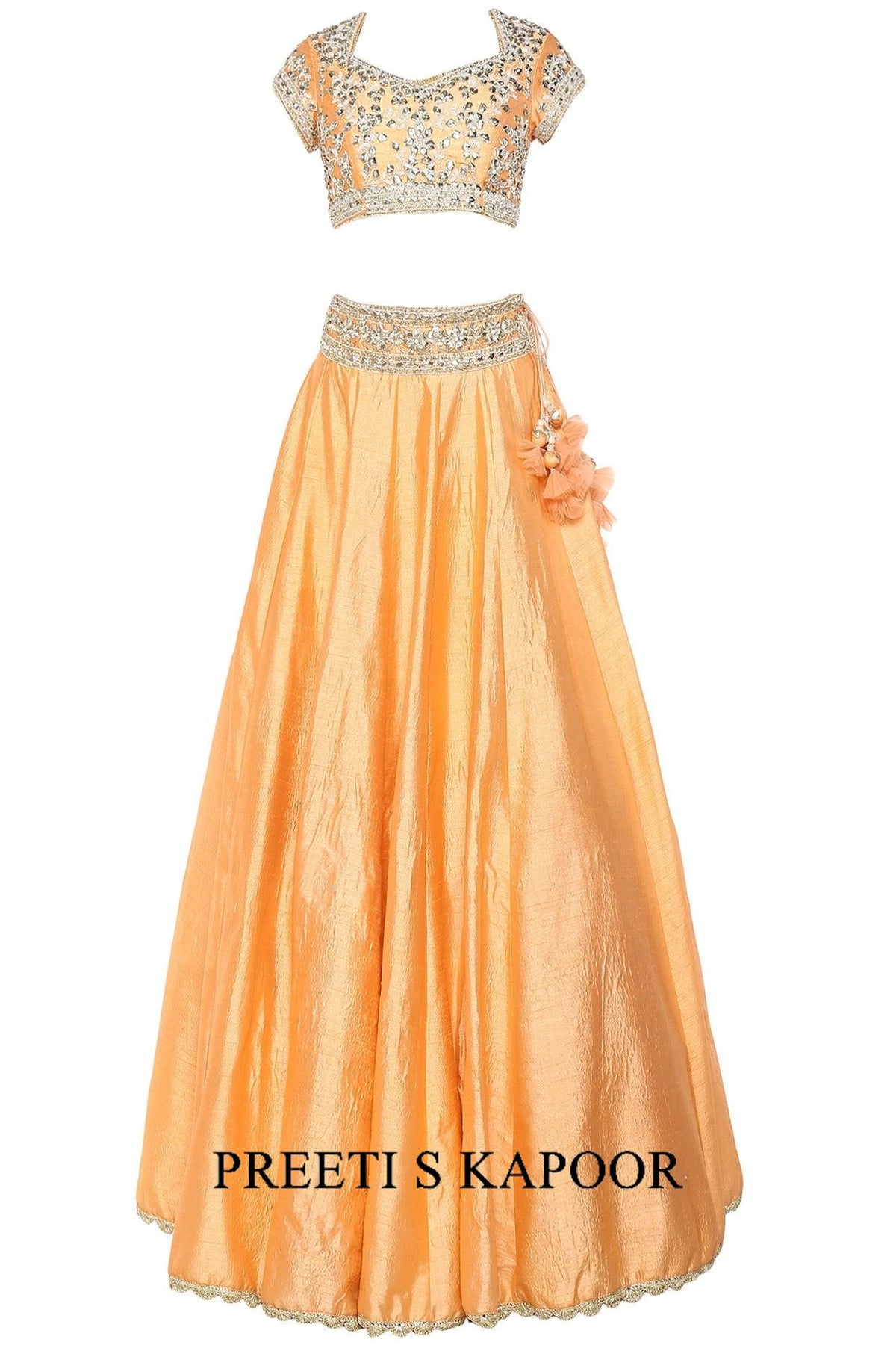 Peach Handcrafted Embroidered Lehenga Set - Preeti s kapoor